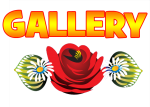 Gallery_8296.png